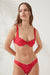 Cindy Bikini Üstü Fuşya Zebra